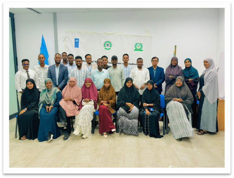 Support The Development of Somalia’s First Youth Peace and Security National Action Plan
