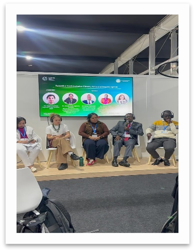 Youth Participation in Conference of Parties (COP29)