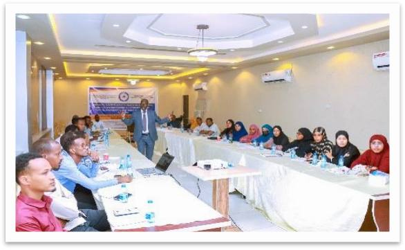 Organize consultations, to finalize the draft proposal for the establishment of the disaster volunteers’ network in Somalia