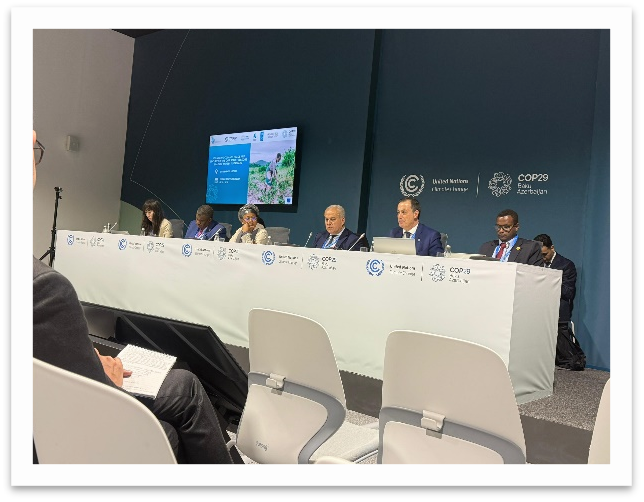 Youth Participation in Conference of Parties (COP29)